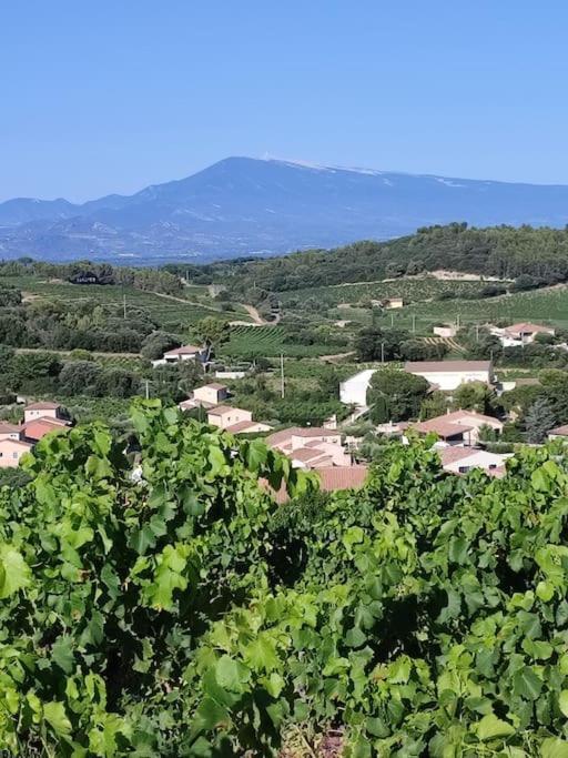 Maison De Village Châteauneuf-du-Pape Kültér fotó